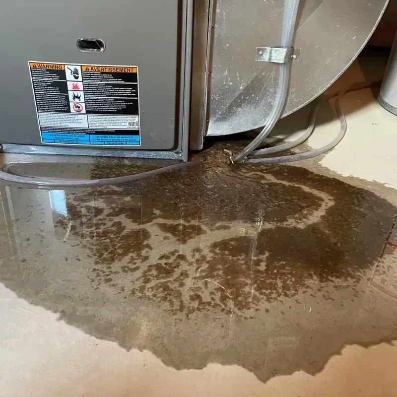 Appliance Leak Cleanup in Comanche, TX